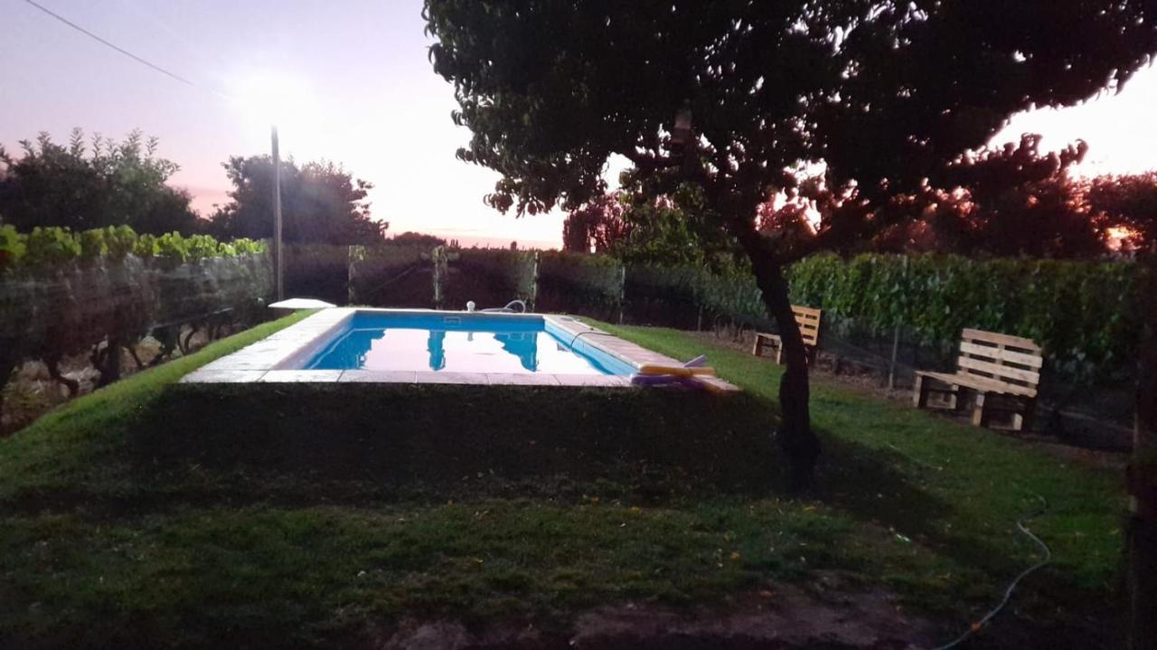 Entre Vinedos Apartment Lujan de Cuyo Екстериор снимка