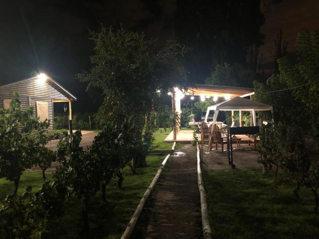 Entre Vinedos Apartment Lujan de Cuyo Екстериор снимка
