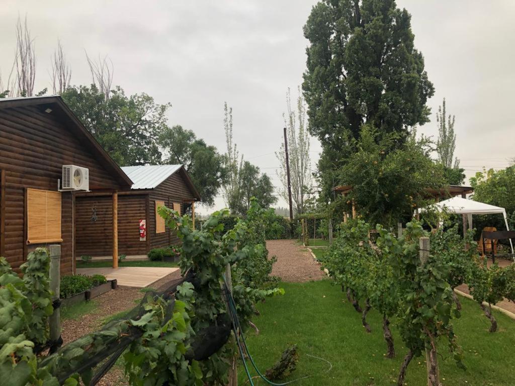 Entre Vinedos Apartment Lujan de Cuyo Екстериор снимка